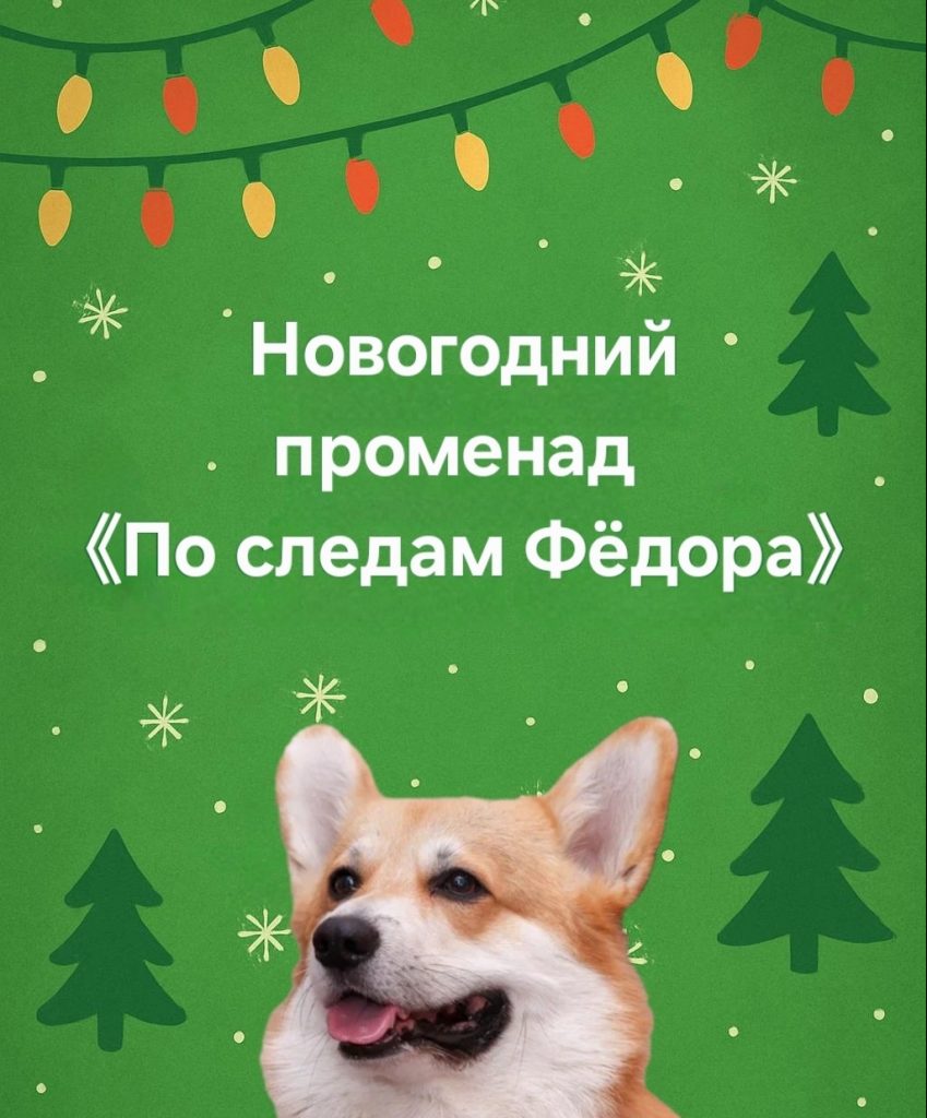 📌20 декабря в 13:00 успейте насладиться Новогодней атмосферой на Иммерсивном променаде «По следам Фёдора» ❄