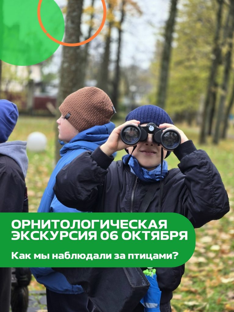Как мы наблюдали за птицами на орнитологической экскурсии?